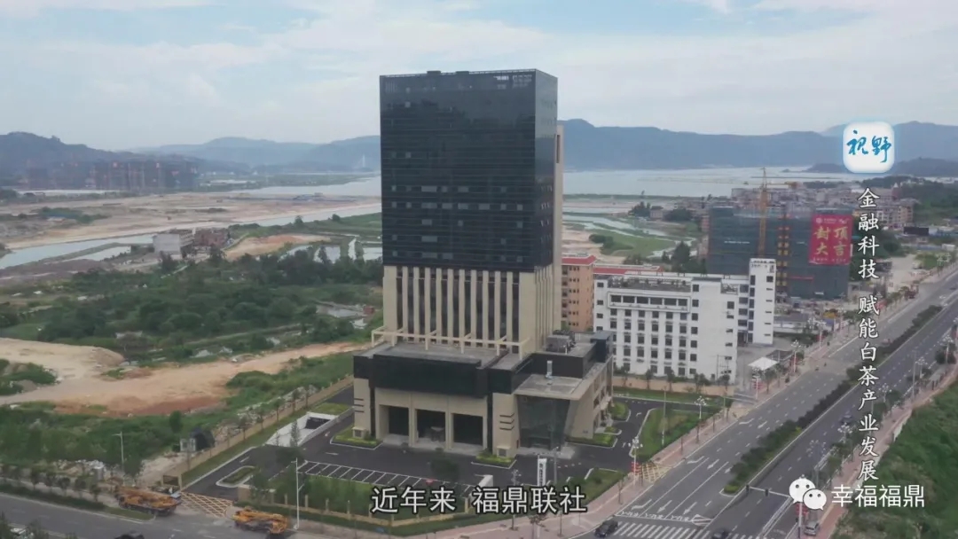 【視野】金融科技賦能白茶產業發展