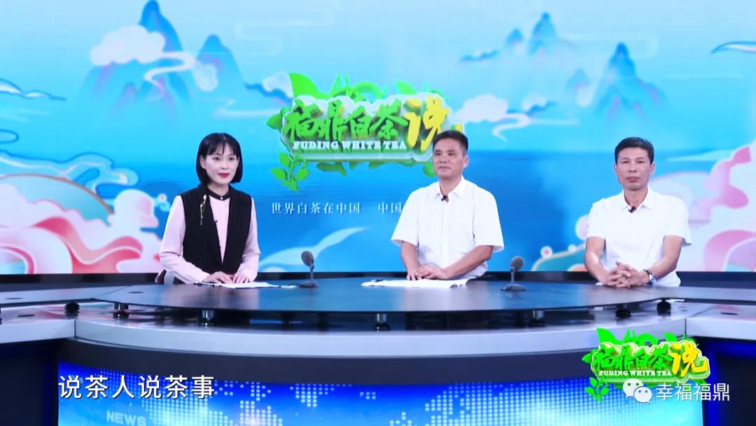 【視野】綠色生態茶園建設正當時