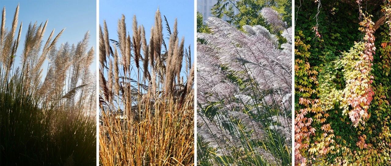 福鼎，竟然還有這樣的地方！