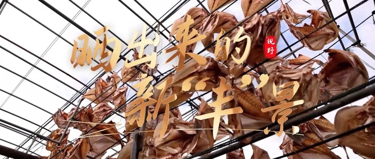 【視野】曬出來的新“豐”景