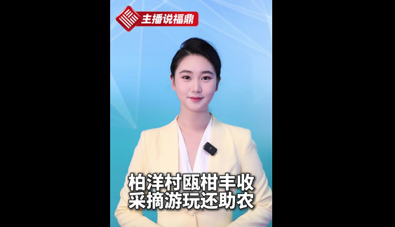 《主播說福鼎》第六十七期：柏洋村甌柑豐收 采摘游玩還助農(nóng)