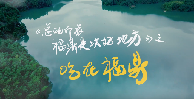 《總的印象，福鼎是塊好地方》——吃在福鼎