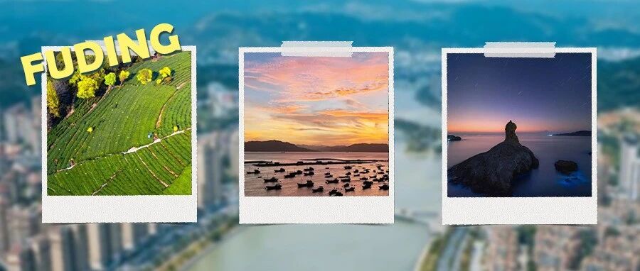 福鼎，何時來看都剛好