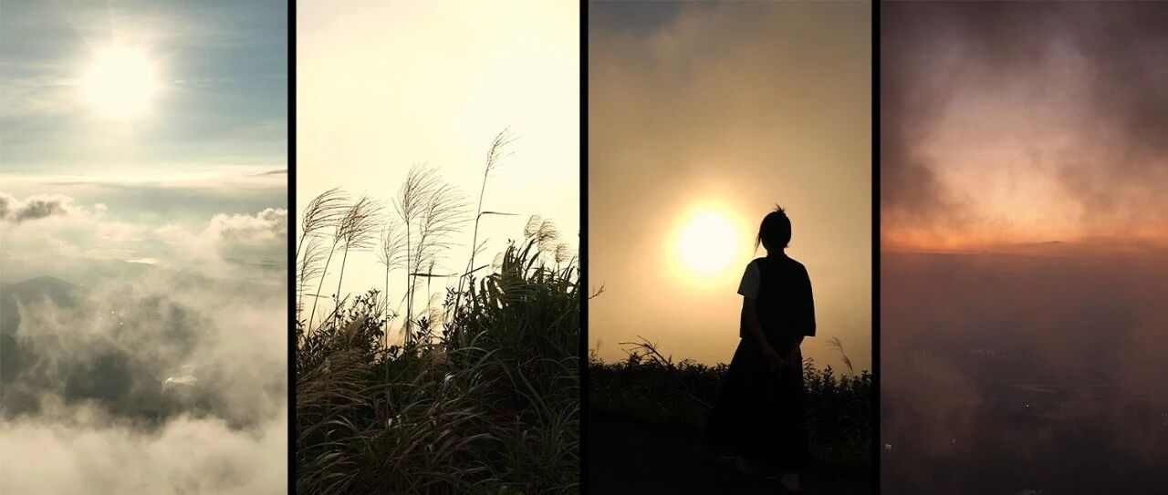 刷爆朋友圈！佳陽烏山尾太有Feel了！