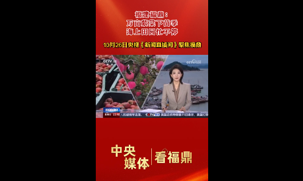 10月26日央視新聞頻道《新聞直播間》聚焦福鼎：萬畝紫菜下苗季 海上田園忙不停