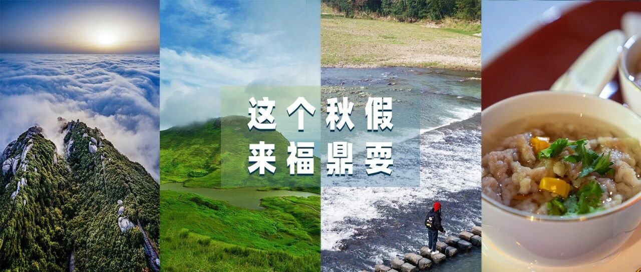 秋假怎么安排？帶娃來福鼎玩點不一樣的